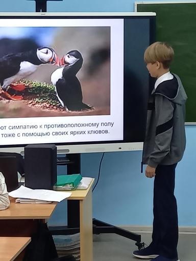 Чурапин Дмитрий